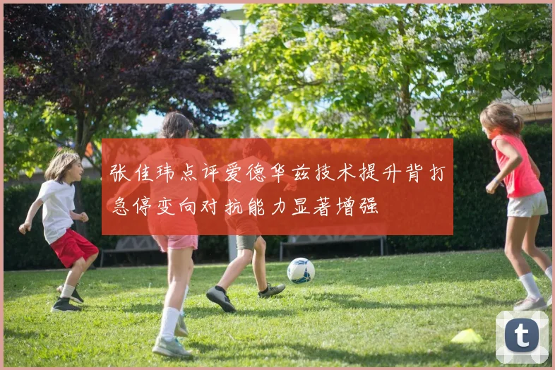 张佳玮点评爱德华兹技术提升背打急停变向对抗能力显著增强